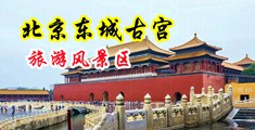 大鸡巴狂草中国北京-东城古宫旅游风景区